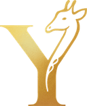 YAA - Elevated Women's Activewear